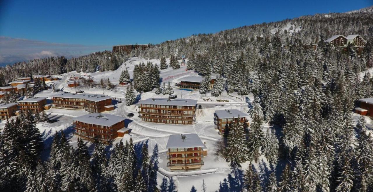 Le Cocon 4 Saisons A Chamrousse 1700 - Droseras A14 - Les Villages Du Bachat Zewnętrze zdjęcie
